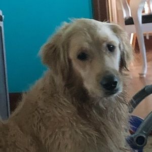 Meet your Posher, Barbara